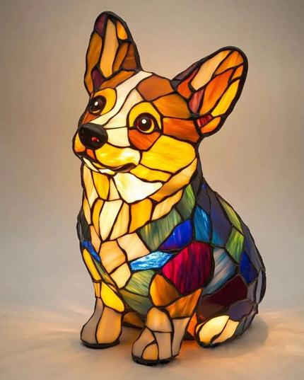 Senta - Corgi Strahlenlicht